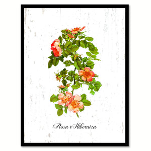 Orange Rose Flower Canvas Print with Picture Frame Floral Home Decor Wall Art Living Room Decoration Gifts