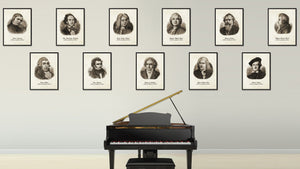 Schubert Musician Canvas Print Pictures Frames Music Home Décor Wall Art Gifts
