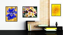 Load image into Gallery viewer, Plumeria Flower Framed Canvas Print Home Décor Wall Art
